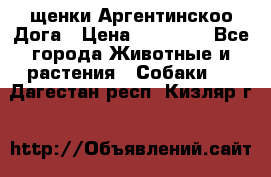 щенки Аргентинскоо Дога › Цена ­ 25 000 - Все города Животные и растения » Собаки   . Дагестан респ.,Кизляр г.